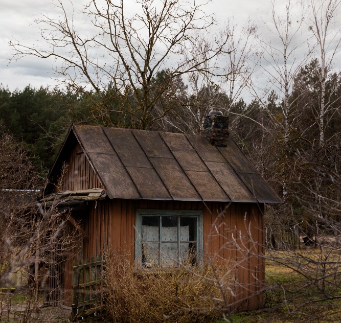 Old wooden shed with metal roof surrounded by leafless trees and overgrown yard in rural setting.